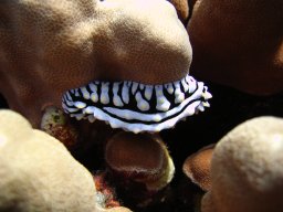 marsa_alam_200510 118